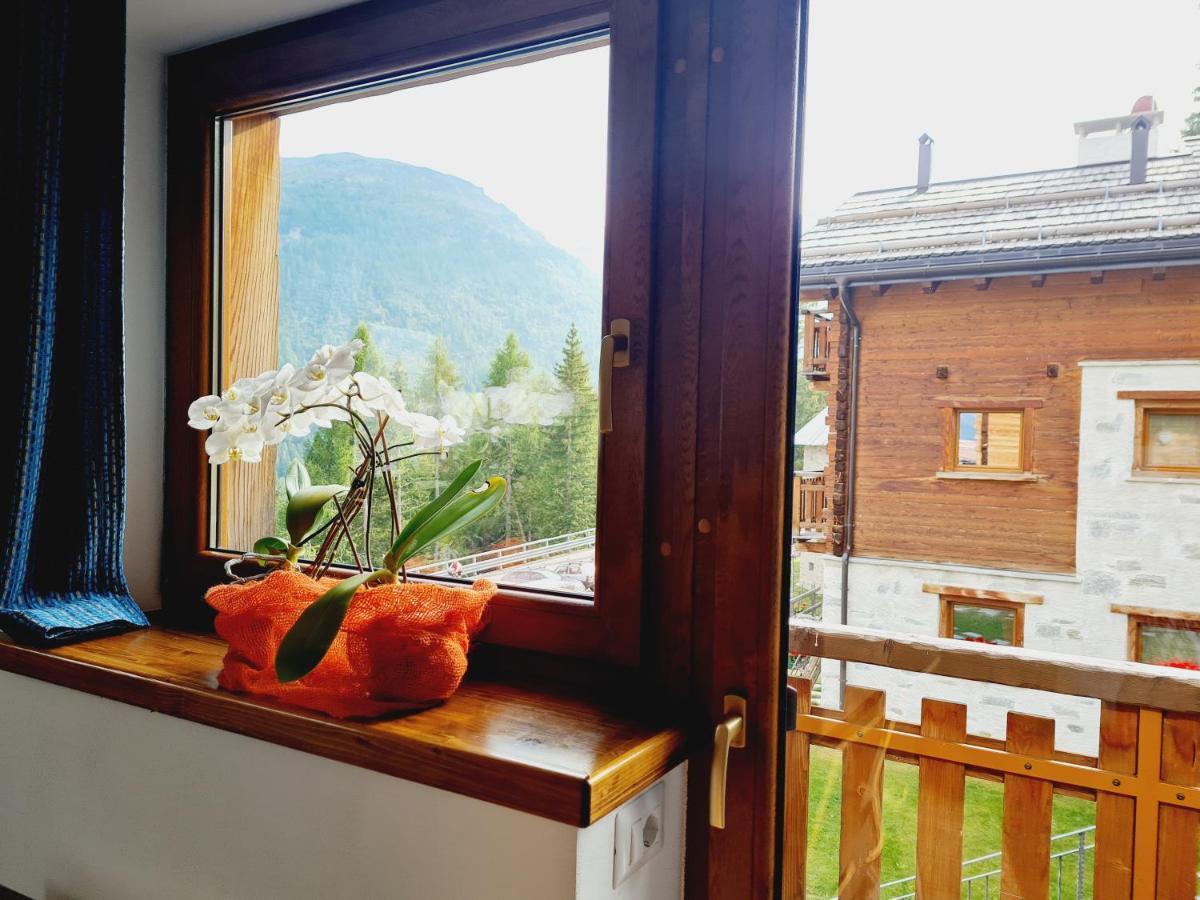 Chalet Selva Isolaccia Exterior photo